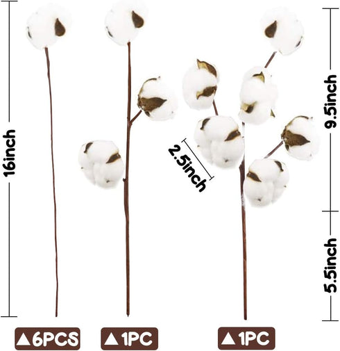 DomeStar Natural Dried Cotton Stems, 8 Packs Total, 15 Bolls Cotton Sprigs Blooms for Vase Fillers