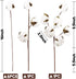 DomeStar Natural Dried Cotton Stems, 8 Packs Total, 15 Bolls Cotton Sprigs Blooms for Vase Fillers