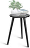 Uneedem Indoor Plant Stand, Modern Plant Table 16.5" Tall Wood Mid Century