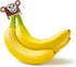 NANA HATS Banana Freshness Preserver, Keep Bananas Fresh Longer, Ideal for Organic Bananas, Innovative Banana Holder