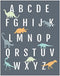 Dinosaur Alphabet Wall Art Print 12x18 Inch, ABC Poster for Nursery Decor, Kid's Room, Gender Neutral Baby Room