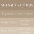 4 oz River Birch Sea Salt + Citrus Scented Linen and Room Spray | Home Fragrance | Glass Amber Bottle | Luxury