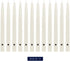 Colonial Candle Handipt Taper Candle, 10 in, White, 12 Count