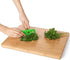 2Pcs Green Leaf Herb Stripper, Vegetable Eliminator Comb for Kale, Chard, Collard Greens, Kitchen Utensils