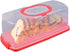 Portable Bread Box with Handle, 13inch Translucent Dome for Loaf Cake, Pastries, Bagels, Bread Rolls (Red)