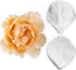 KALAIEN 5pcs Stainless Steel Peony Cutter, 2pcs Fondant Silicone Mold for Sugarcraft Flower Making