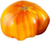 Hillbilly Potato Leaf Heirloom Tomato Seeds - Large Tomato - One of the Most Delicious Tomatoes for Home Growing