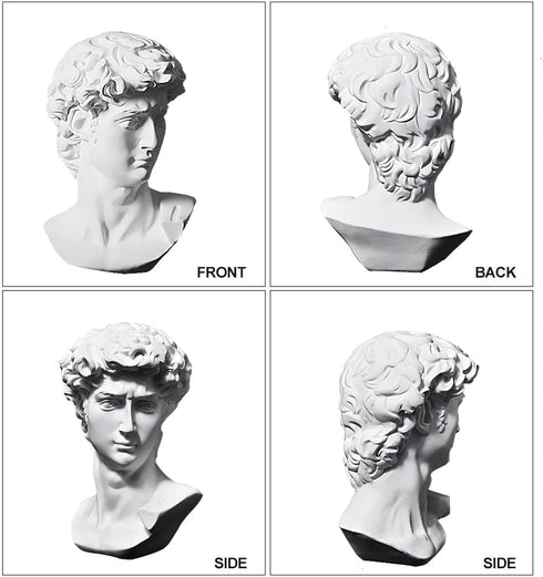 6 Inch fazhongfa Greek Statue of David Bust Resin Sculpture for Roman Bookshelf Tabletop Office Home Decor Roman