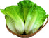 Generic 3pcs HC2430-L3 Realistic Artificial Fake Lettuce, Fake Vegetable, Artificial Vegetables for Decoration, Home