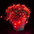 YKB 6 Pack Red LED Fairy String Lights with 20 Mini LEDs on 6.6FT/2M Copper Wire for Holiday Wedding Decorations
