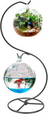 MDNODEQ Hanging Stand Iron S-Shape Display Stand for Planter Terrarium Witch Ball Christmas