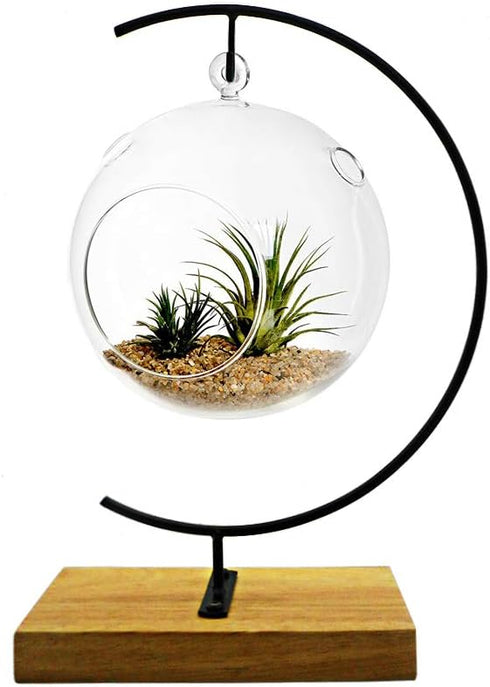 YY YEARCHY Metal Stand for Hanging Glass Globe Ball - Terrarium Air Plant Stand, Flower Pot Holder (G rectangle wood)