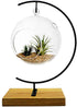 YY YEARCHY Metal Stand for Hanging Glass Globe Ball - Terrarium Air Plant Stand, Flower Pot Holder (G rectangle wood)