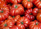 Harley Seeds 30 Costoluto Genovese Pomodoro Tomato Seeds, Heirloom Non-GMO, Low Acid, Indeterminate, Open-Pollinated,