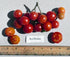 Harley Seeds 30 Dwarf Red Robin Tomato Seeds, Heirloom Non-GMO, Sweet, Low Acid, Determinate, Open-Pollinated