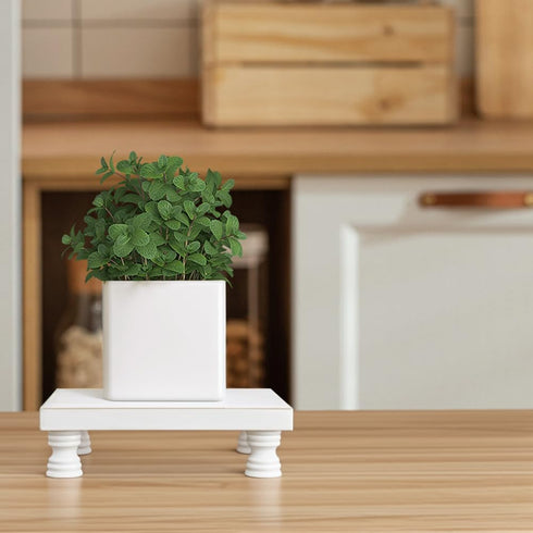 MADOCEGO 2 8.5"x5.7") Pcs Wood Plant Stand Wooden Plant Stool Round Riser Display Stand Flower Pot Holder Low Plant Pot