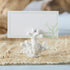 Kate Aspen Seven Seas Coral Place Card Holders - Set of 6 Coastal-Inspired Table Decor for Beach Weddings