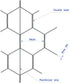24" x50' 2" 20GA Galvanized Hexagonal Poultry Netting Chicken Wire x Mesh