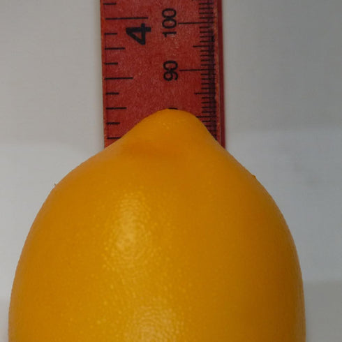 Vasefill Pack 6 Artificial Lemon of Yellow Citrus - Decorative Lemons Faux Fruit Fake - Six Pieces