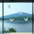 Set of 20 Butterfly Static Window Clings, Anti Collision Decals for Bird Strikes, Glass Awareness Stickers
