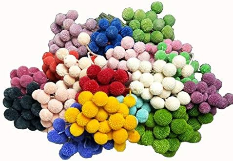 INVISIKAYAK Craspedia Globosa Material Flower, Immortal Eternal Flowers Gift, 40 Pcs in B-red