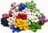 INVISIKAYAK Craspedia Globosa Material Flower, Immortal Eternal Flowers Gift, 40 Pcs in B-red