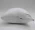 Feather Proof Pillow Protectors 20x20, Waterproof Cover for Goose Down Throw Pillows, 2 Pack