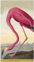 Packs 15 Caspari Audubon Birds Paper Guest Towel Napkins, Two