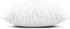 EDOW Throw Pillow Insert, Lightweight Soft Polyester Down Alternative, Decorative Pillow, 18x18, Machine Washable