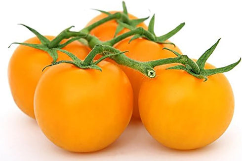 Golden Jubilee Tomato Seeds - Large Tomato - One of the Most Delicious Tomatoes for Home Growing, Non GMO