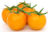 Golden Jubilee Tomato Seeds - Large Tomato - One of the Most Delicious Tomatoes for Home Growing, Non GMO