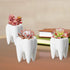 YOFIT Modern Style Teeth Pots Ceramic Flower Pot for Dental Gifts, White Succulent Cactus Planter, Set of 4