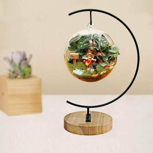 Iron Ornament Display Stand Holder for Hanging Glass Globe Air Plant Terrarium, Christmas Ornament, Home Decoration