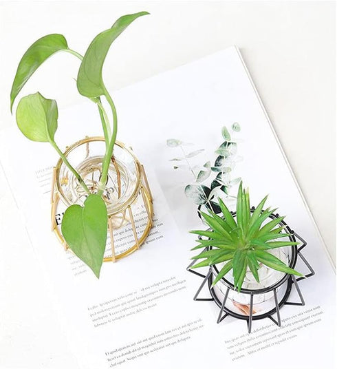 Nordic Small Clear Glass Vase, Metal Geometric Iron Line Cup Pot for Hydroponic Flowers, Modern Home Décor