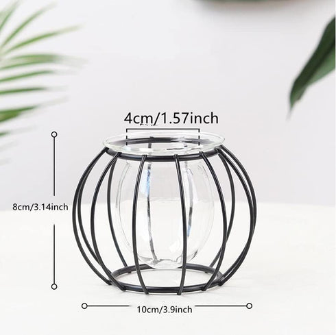 Nordic Small Clear Glass Vase, Metal Geometric Iron Line Cup Pot for Hydroponic Flowers, Modern Home Décor