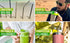 Stainless Steel Straws (Tall)