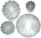 WSA Daisy 12 Petal Cutter Set, 4 Pieces