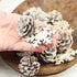 Factory Direct Craft Winter White Washed Pinecones and Snowflakes Package