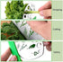 Herb Stripper, Jiaedge Green 9 holes Stainless Steel Kitchen Herbs Leaf Stripping Tool for Kale, Collard Greens, Thyme,