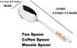 Stainless Steel Spice Box Spoons Set of 12, Silver