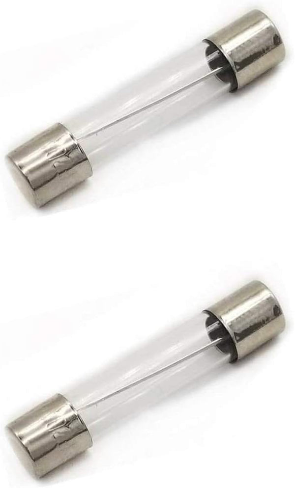 DealEnvy (2 Pack) WB27X11138 20 Amp 125/250 Volt Glass Microwave Fuse, Instant Blow 6mmx30mm