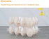 60 Packs, 12 Egg Cartons Clear Plastic Blank Egg Cartons with Free Labels, Holds up to Eggs Securely, Perfect