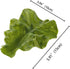 DinQ 10 Pieces Fake Lettuce Leaves Artificial Green Vegetables Plastic Realistic Salad for Holiday Home Kitchen Cabinet