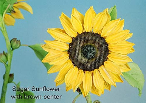 Sunflower Petal Cutters Set of 4 Sizes