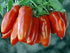 Harley Seeds 30 Italian San Marzano Paste Tomato Seeds, Heirloom Non-GMO, Indeterminate, Open-Pollinated, Productive,