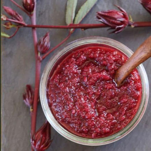 1/4 2026 TomorrowSeeds - Red Hibiscus Roselle Seeds - Pound - for Planting Hibiscus Sabdariffa Burmese Chin Baung