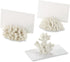 Kate Aspen Seven Seas Coral Place Card Holders - Set of 6 Coastal-Inspired Table Decor for Beach Weddings