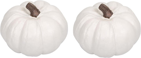 Elanze Designs Classic White Decorative Pumpkins Pack of 2, 6 Inch Resin Harvest