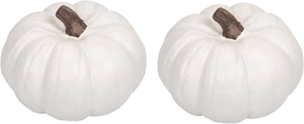 Elanze Designs Classic White Decorative Pumpkins Pack of 2, 6 Inch Resin Harvest