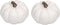 Elanze Designs Classic White Decorative Pumpkins Pack of 2, 6 Inch Resin Harvest